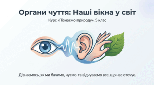 Як працюють органи чуття.