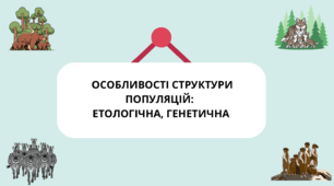 Презентація з біології для 11 класу на тему «Особливості структури популяції: етологічна та генетична».