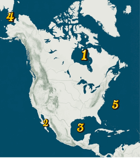 09014ojv-aa40-459x516.png