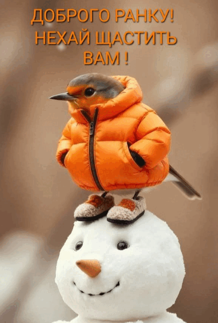 09014p7u-6e4f-436x647.png