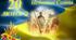 20 лютого -День пам'яті Героїв Небесної Сотні. Сценарій урочистої лінійки.Ангели.