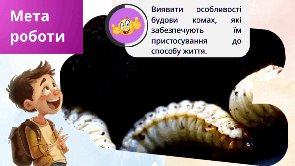 09014qy3-4f44-602x339.png