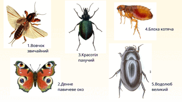 09014qyz-ad9f-585x329.png