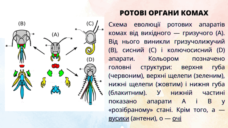 09014qzu-31e0-742x418.png