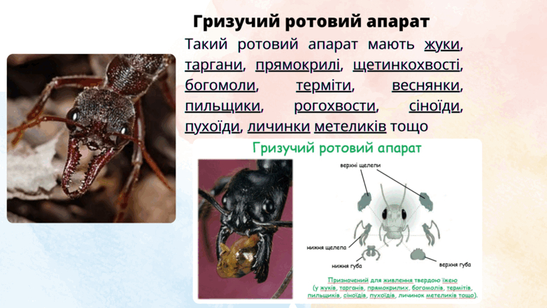 09014r09-97af-782x440.png