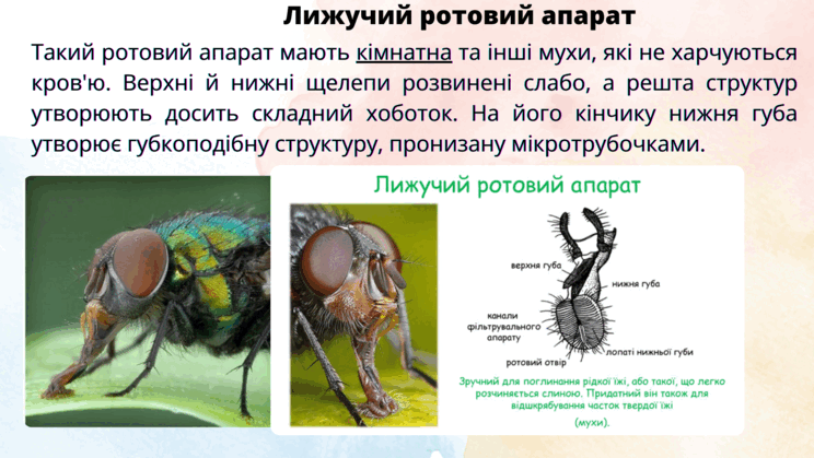 09014r0k-04d1-744x419.png