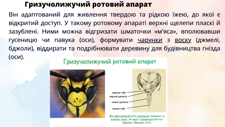 09014r0s-cce1-779x438.png