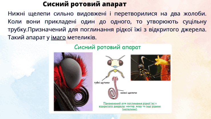 09014r1a-4d4b-739x416.png