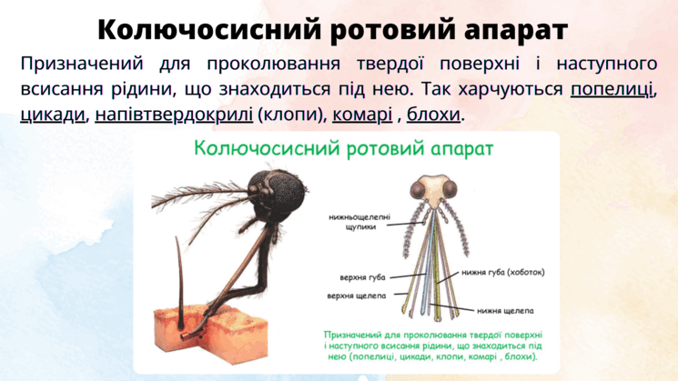 09014r1k-5c04-745x419.png