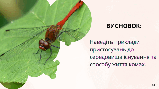 09014r33-e208-650x365.png