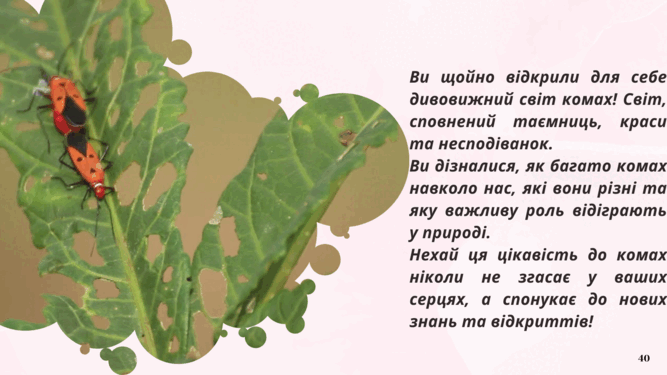 09014r3a-c672-667x375.png