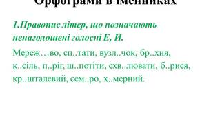 Презентація "Орфограми в іменниках. Тренувальні вправи". НМТ.