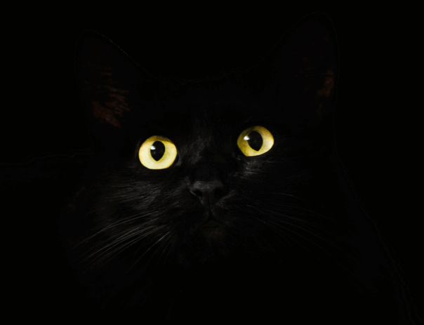 09014s3n-8e13-604x463.png