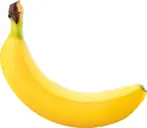 09014tsm-f32d-147x128.webp