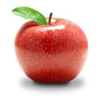 09014tu5-3d41-206x205.jpg
