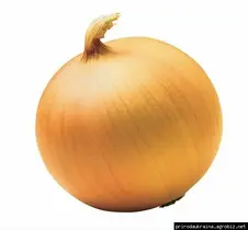 09014tua-acdf-226x210.webp