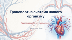 Як рухається кисень та поживні речовини в нашому організмі