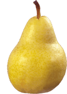 09014ug4-56d7-138x194.png