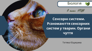 Сенсорні системи. Різноманіття сенсорних систем у тварин. Органи чуття. 8 клас. НУШ