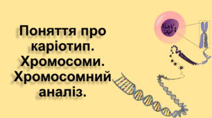 Каріотип та хромосомний аналіз