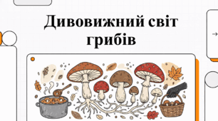 Дивовижний світ грибів