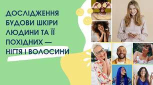 Дослідження будови шкіри людини та її похідних - нігтя і волосини