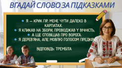 09014you-2f71-343x193.png