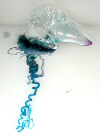 090150dp-0886-197x270.jpg