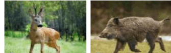 090150pv-2479-335x105.png