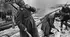 Контрольна робота «Україна в роки Другої світової війни (1939—1945 рр.)»