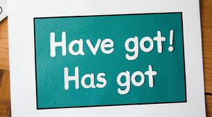 Самостійна робота: Have got / Has got Рівень: A1–A2