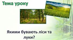 Відеоурок ЯКИМИ БУВАЮТЬ ЛІСИ ТА ЛУКИ?