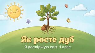 Як росте дуб. ЯДС