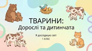 Тварини. Дорослі та дитинчата. ЯДС