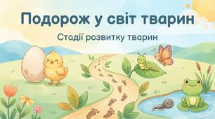 Стадії розвитку тварин. ЯДС