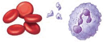 0901572e-cf2e-413x167.png