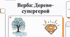 Верба. Дерево-Супергерой