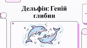 Дельфін. Геній глибин