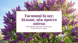 Світ бузку: від міфології до медицини