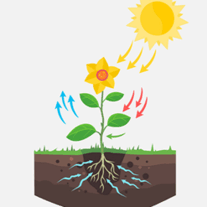 0901587t-fff3-207x207.png