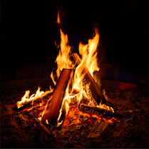 0901588f-fc30-209x209.png