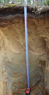 090159ds-e9a8-163x319.jpg