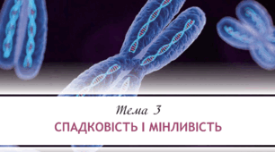 СПАДКОВІСТЬ І МІНЛИВІСТЬ
