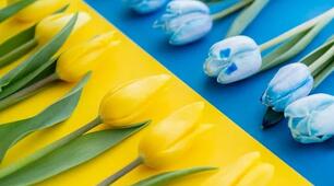 Презентація «Війна за Незалежність України» до 24 лютого 2026 року.