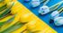 Презентація «Війна за Незалежність України» до 24 лютого 2026 року.