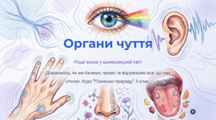 Як працюють органи чуття.