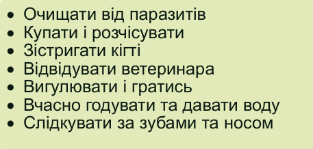 09015fez-fc1a-457x218.png