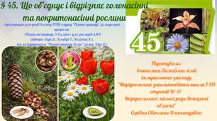 § 45. Що об'єднує і відрізняє голонасінні та покритонасінні рослини