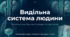 Як виділяються непотрібні речовини з організму людини