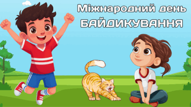 09015gom-c09c-374x211.png